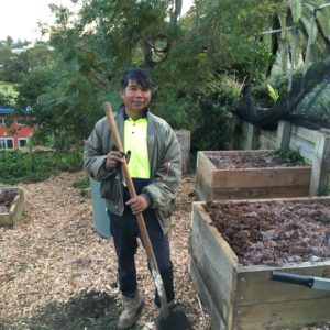 Nikolas (Karenni staff member) working in a backyard garden next to some raised garden beds