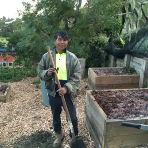 Nikolas (Karenni staff member) working in a backyard garden next to some raised garden beds