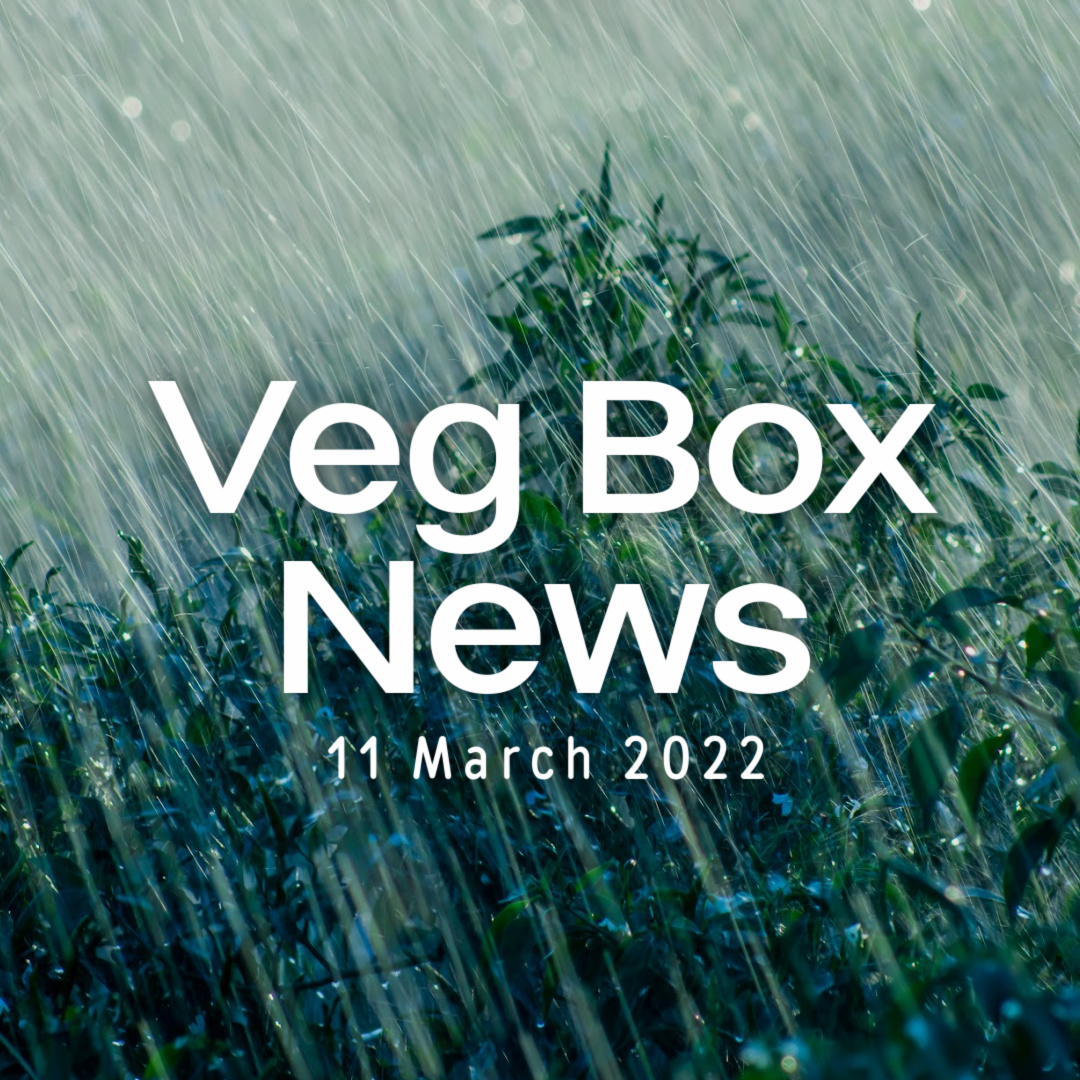 Tesxt: "Veg Box News 11 March 2022", in front of image of heavy rain on plants