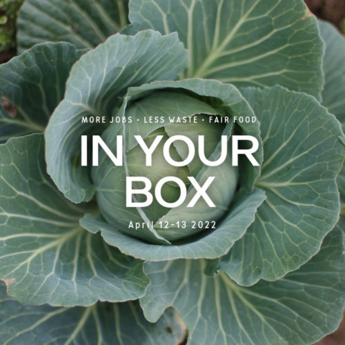 Cover photo with 'In Your Box', '12-13 April 2022' written in the center and cabbage with large leaves around bud in background