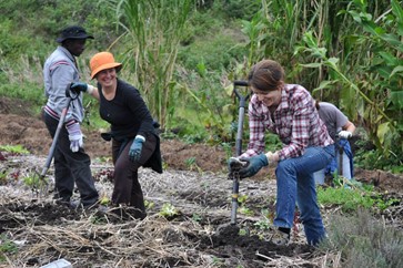 A group of 4 people, 2 smiling at each other, with spades digging the soil into rows for planting