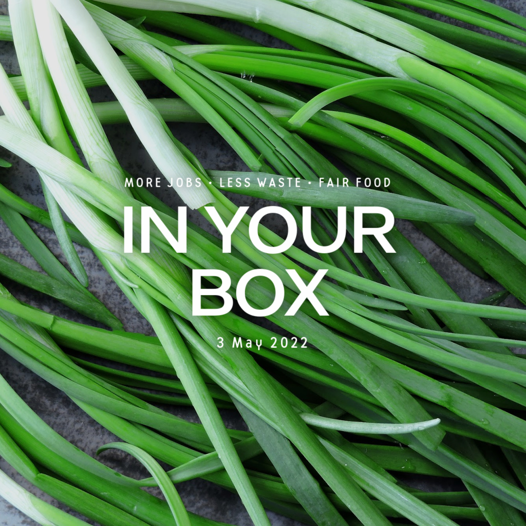 Cover photo with 'In Your Box', '3 May 2022' written in the center and green onions in background
