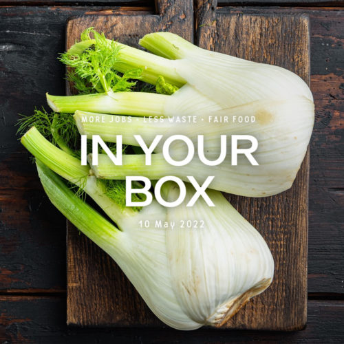 Cover photo with 'In Your Box', '3 May 2022' written in the center and 2 fennel bulbs on a chopping board in background