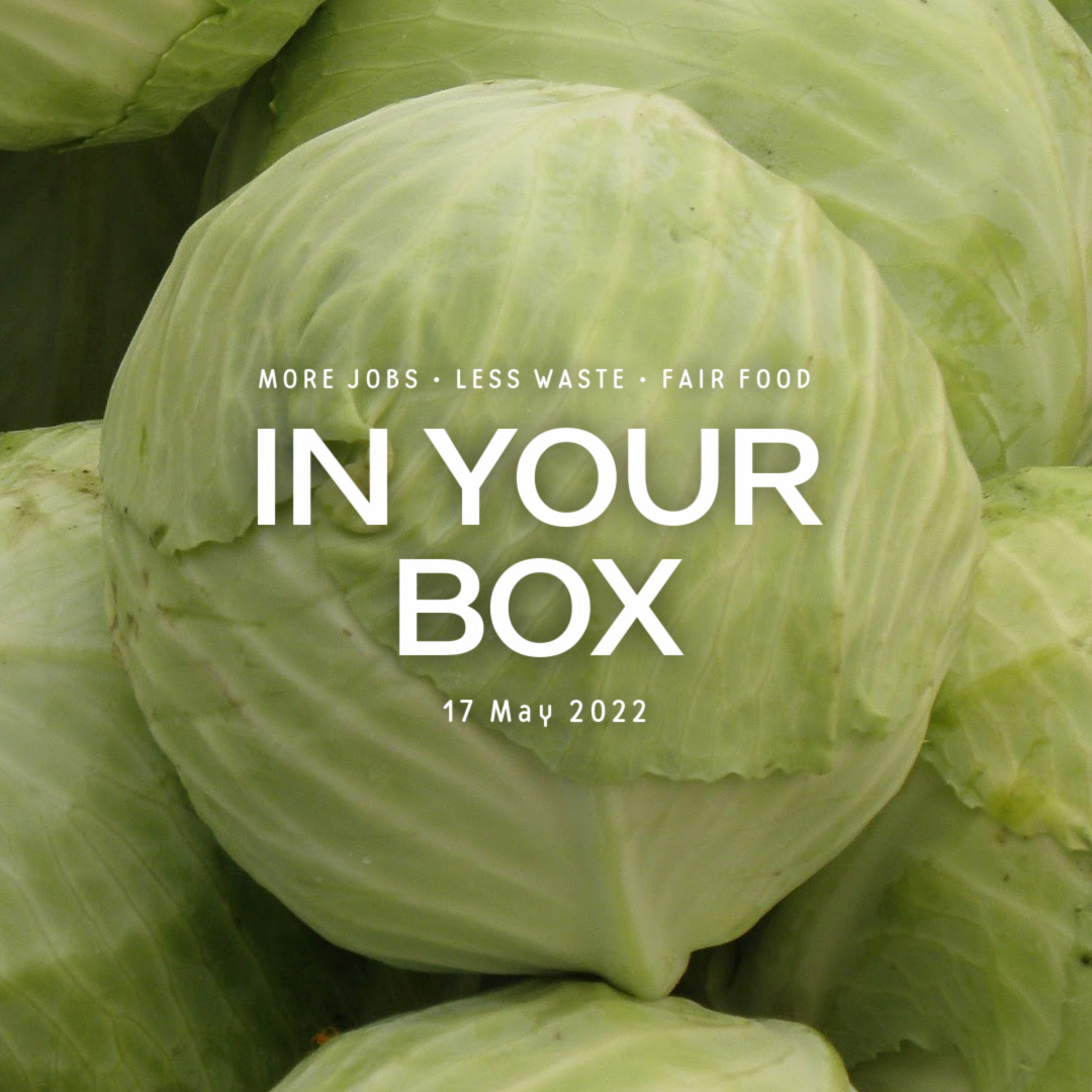 Cover photo with 'In Your Box', '3 May 2022' written in the center and green cabbage head in background