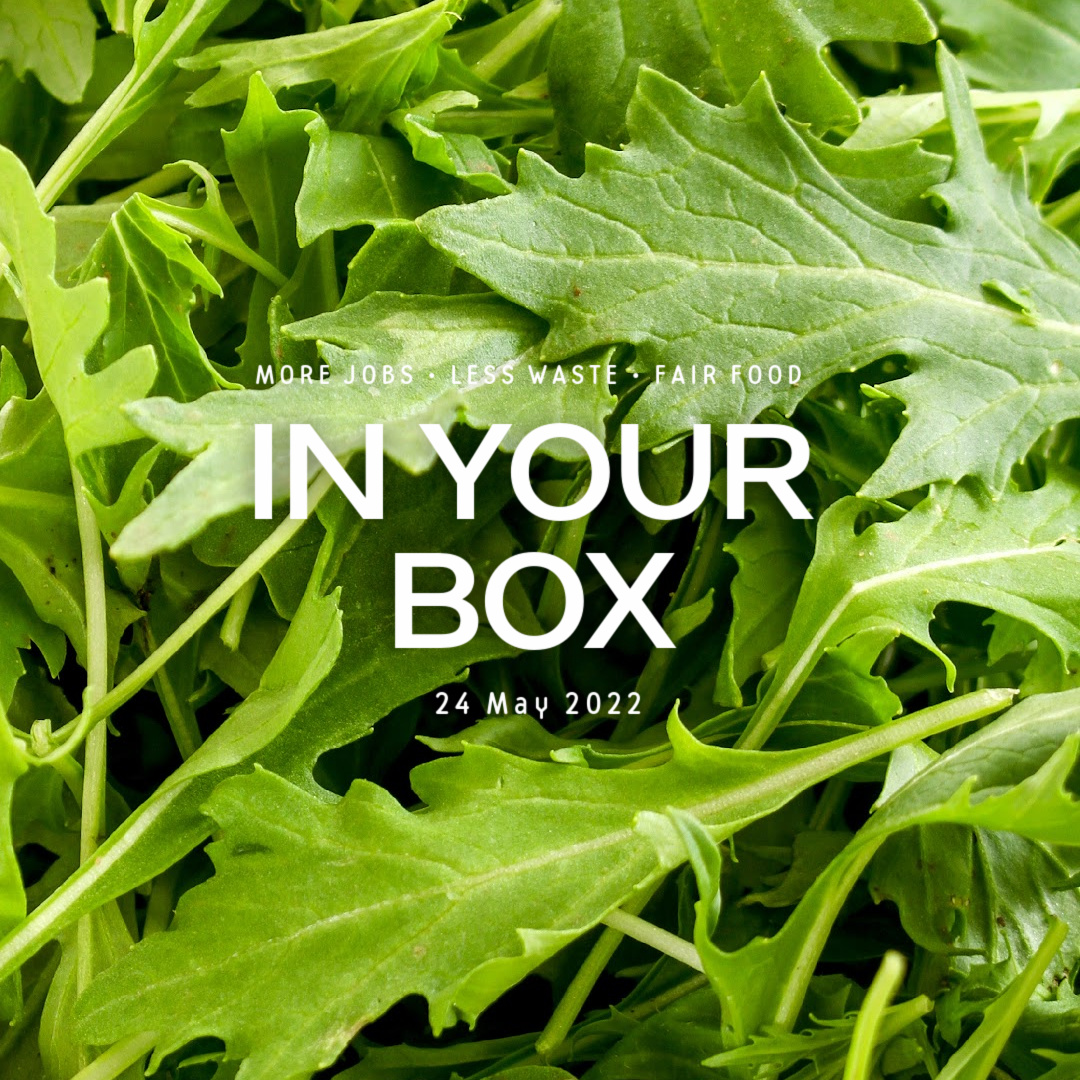 Cover photo with 'In Your Box', '3 May 2022' written in the center and green mizuna leaves in background