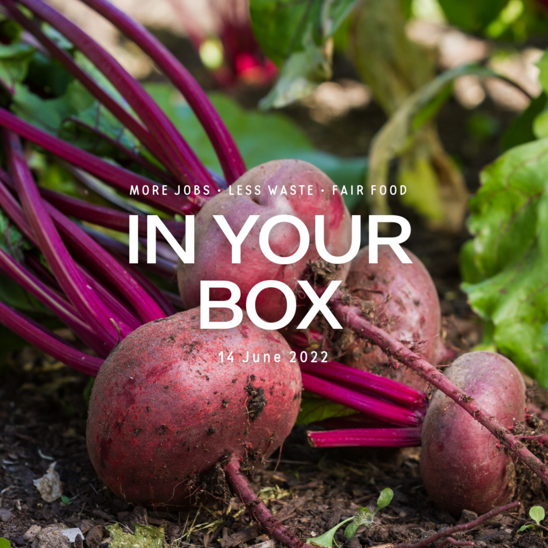 Cover photo with 'In Your Box', '14 June 2022' written in the center and beetroots on soil in background