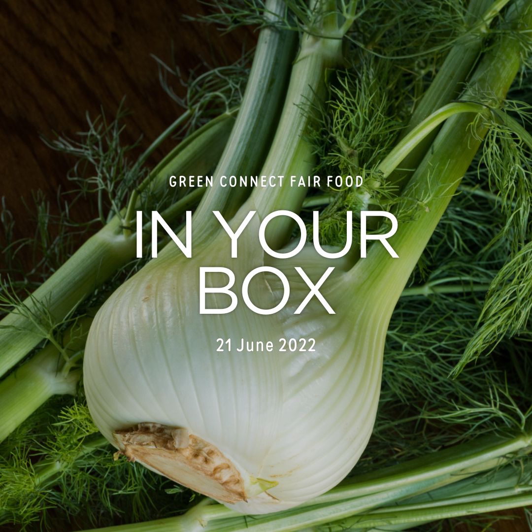 Cover photo with 'In Your Box', '21 June 2022' written in the center and fennel bulb and fronds in background