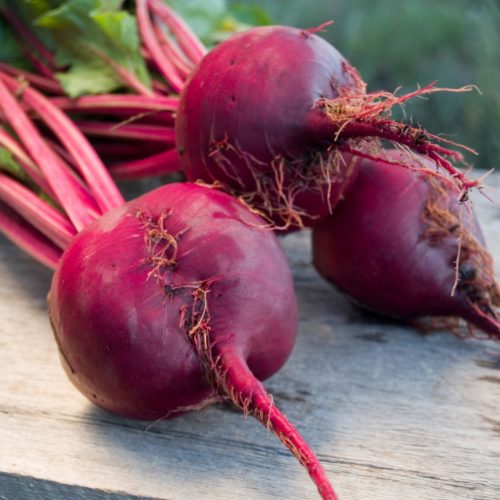 3 beetroots with tops lying on table after harvest