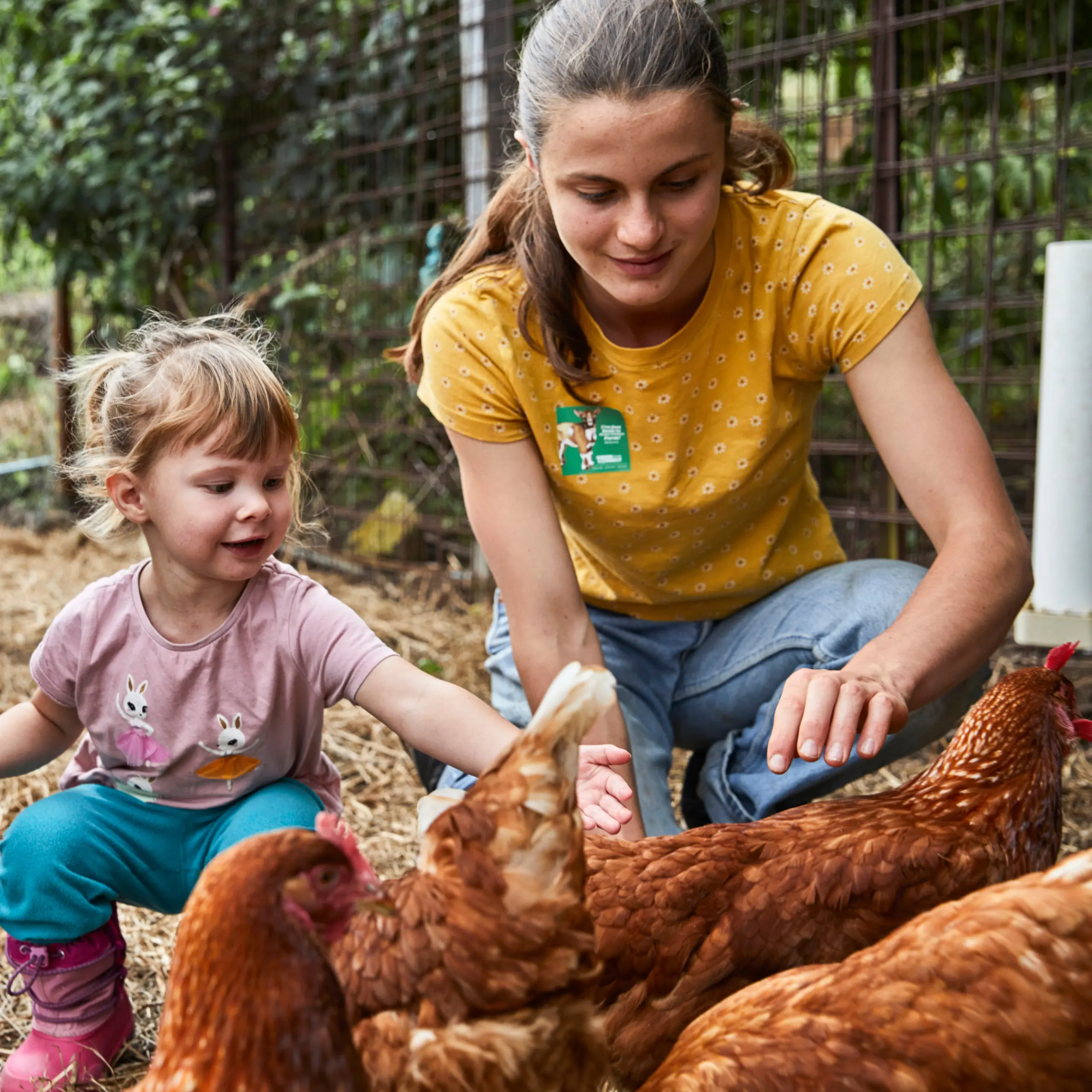 Green Connect Gardening and Landscaping workers maintaining a garden in Gerringong on a hill overlooking the ocean