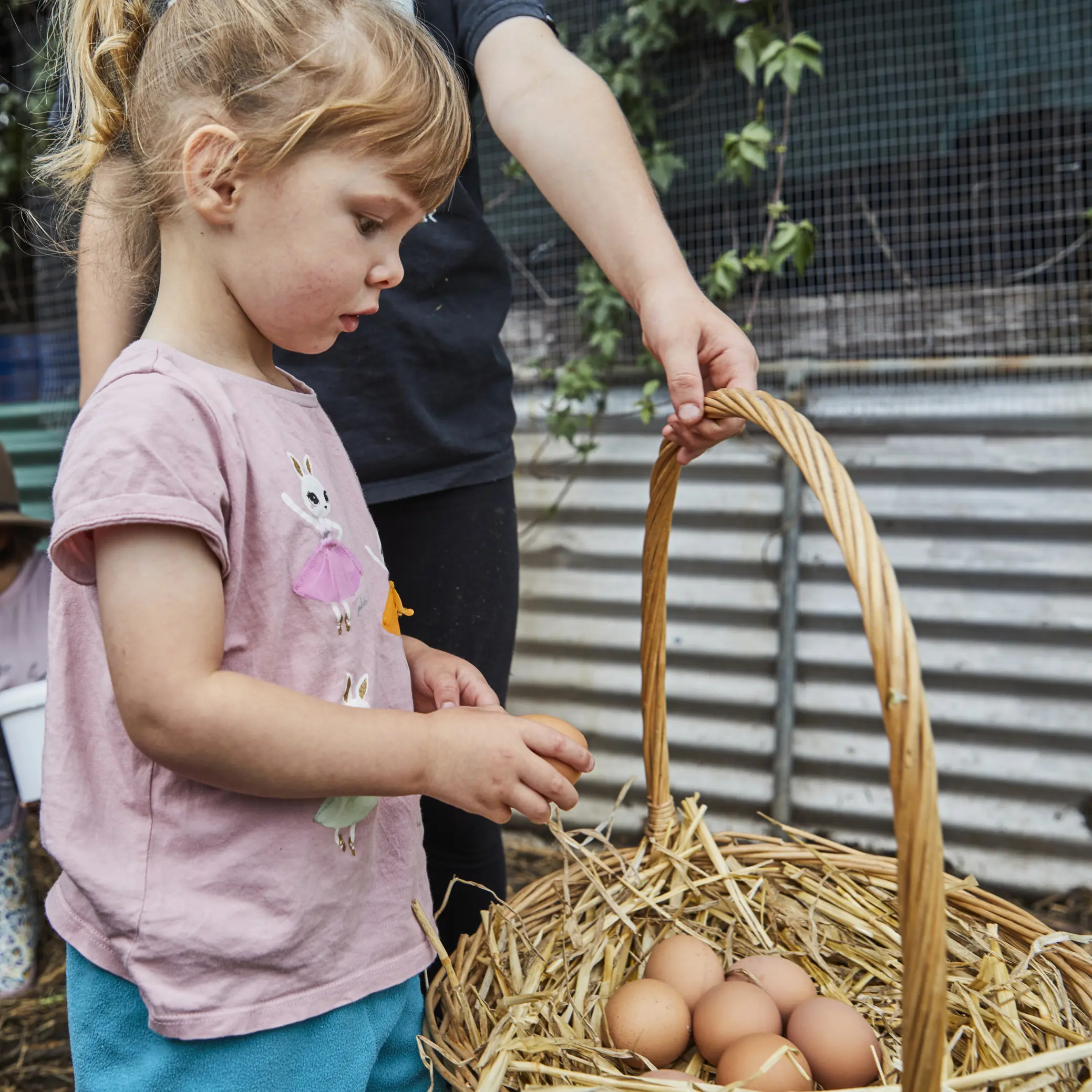 Green Connect Gardening and Landscaping Garden makeover 