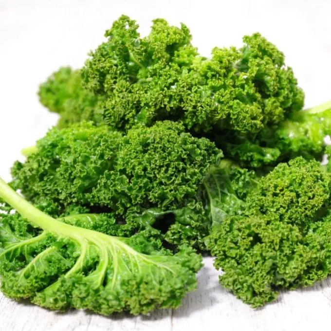 green leafy kale leaves on white background