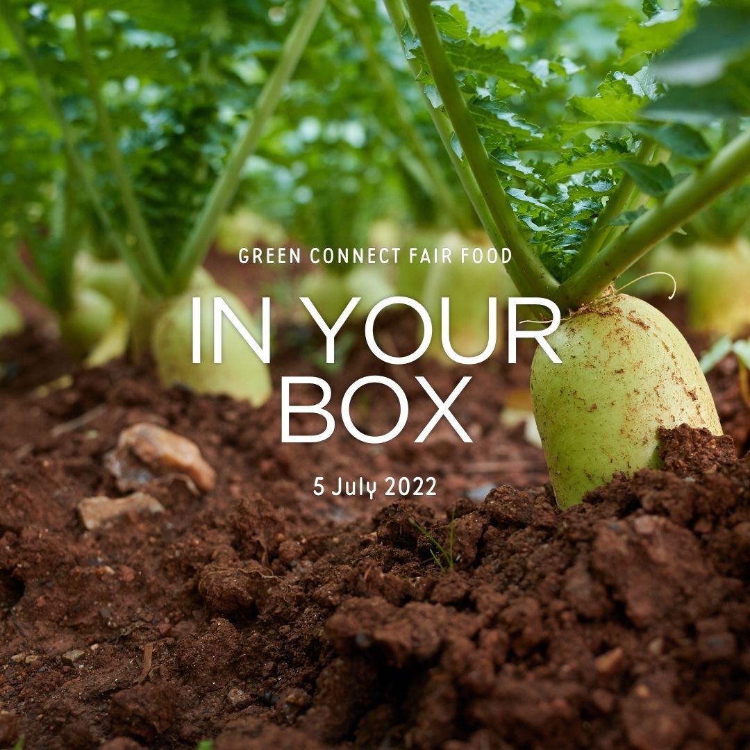 Cover photo with 'In Your Box', '5 July 2022' written in the center and daikon radishes planted in the soil