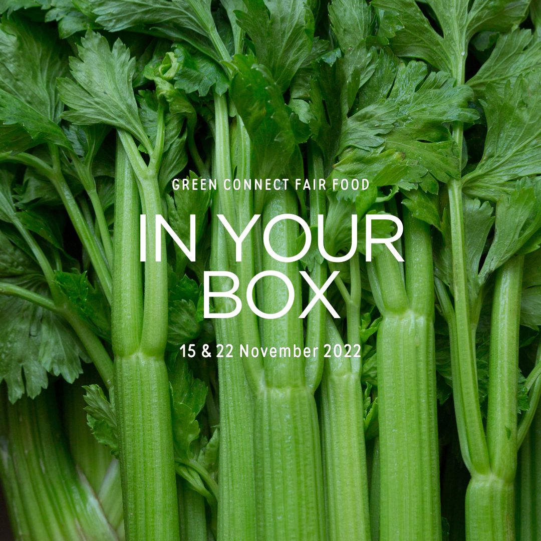 Text: "In your box 15 & 22 November 2022", image of celery close up