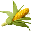 Sweetcorn
