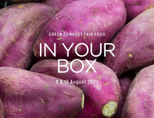 Life Cycle of a Veg Box