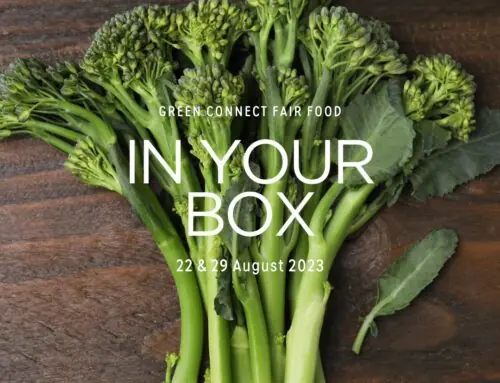 Storing Produce for Longer Life