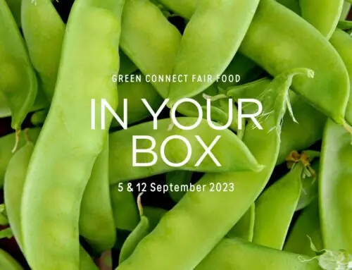 What’s in season this Spring